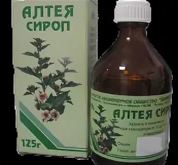 Алтей отхаркивающее. Алтей отхаркивающее