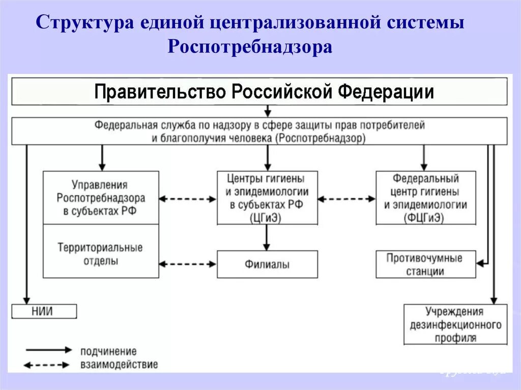 Деятельность территориальных учреждений. Структурная организация учреждений системы Роспотребнадзора. Структура службы Роспотребнадзора. Структура Роспотребнадзора схема. Структура Единой централизованной системы Роспотребнадзора.