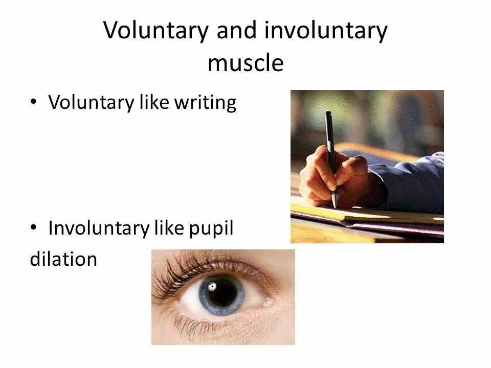 Involuntary перевод. Involuntary перевод. Indication involuntary. Involuntary перевод. Smooth meaning.