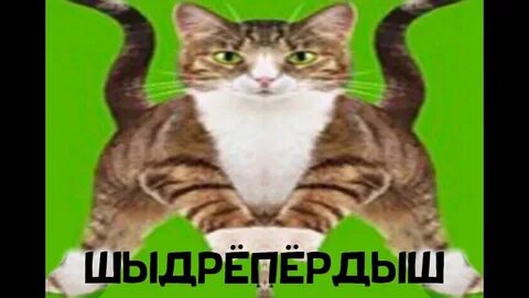 Гавкошмык