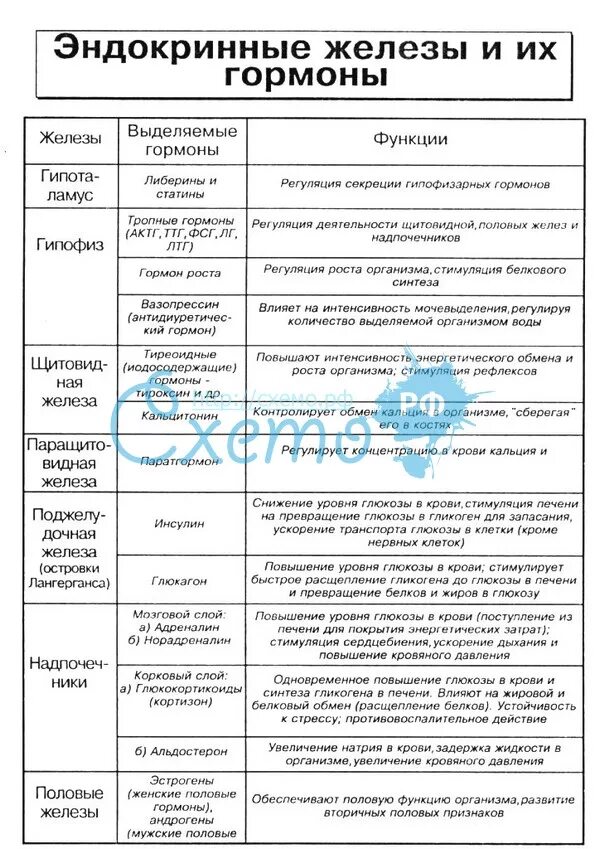 Гормоны выполняют функцию ответ. Таблица эндокринные железы и их гормоны и функции таблица. Таблица эндокринные железы и их гормоны и функции. Железы внутренней секреции таблица железа гормон строение функции. Гормоны желез внутренней секреции таблица.