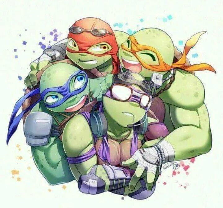Tmnt reader. Шип рафаэль и донателло. леонардо и рафаэль 2012. рафаэль и донателло яой. раф tmnt 2012 арт.