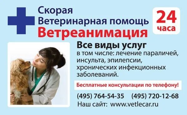 Бесплатная консультация ветеринара круглосуточно. Скорая ветеринарная помощь. Круглосуточная ветеринарная помощь. Номер телефона ветеринара. Бесплатная консультация ветеринара.