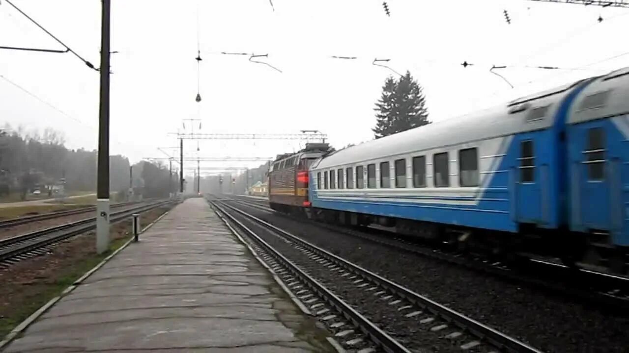 Брест новосибирск. Поезд Новосибирск Брест. Белорусская чугунка поезд Брест Москва. Поезд Брест Саратов. Поезд 374.