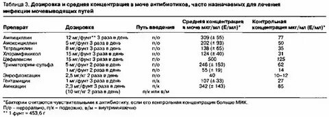Можно ли котятам давать антибиотики