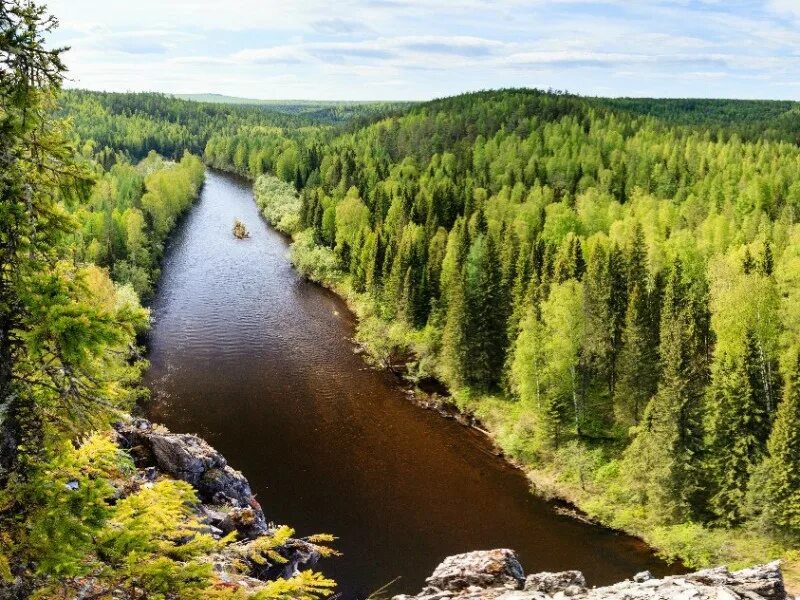 Река чусовая свердловская. Река чусовая сплав. Река чусовая камень максимовский. Екатеринбург чусовой. Чусовая нижний тагил.