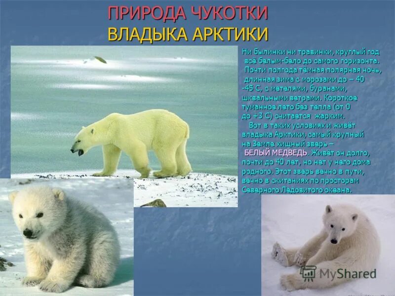 Краткая мысль из доклада. Мысль народная в войне и мире кратко. Защита реферата. Понятие реферата. Доклад это определение.