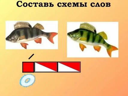 Окунь схема 1 класс в цвете