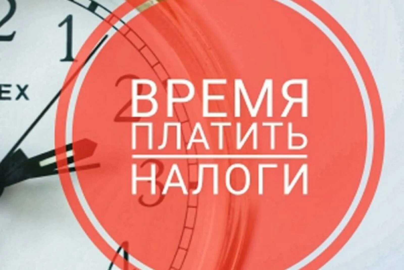 Как заплатить налоги в 2024 году. Время платить налоги. Заплати налоги картинка. Не забудь заплатить налоги. Плати налоги вовремя.