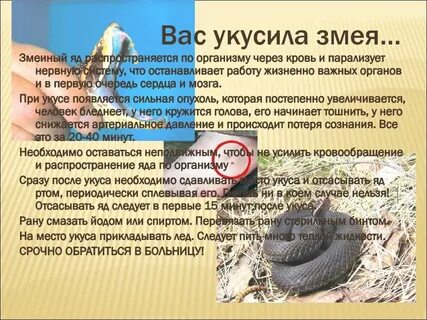 Надо срочно отсосать яд