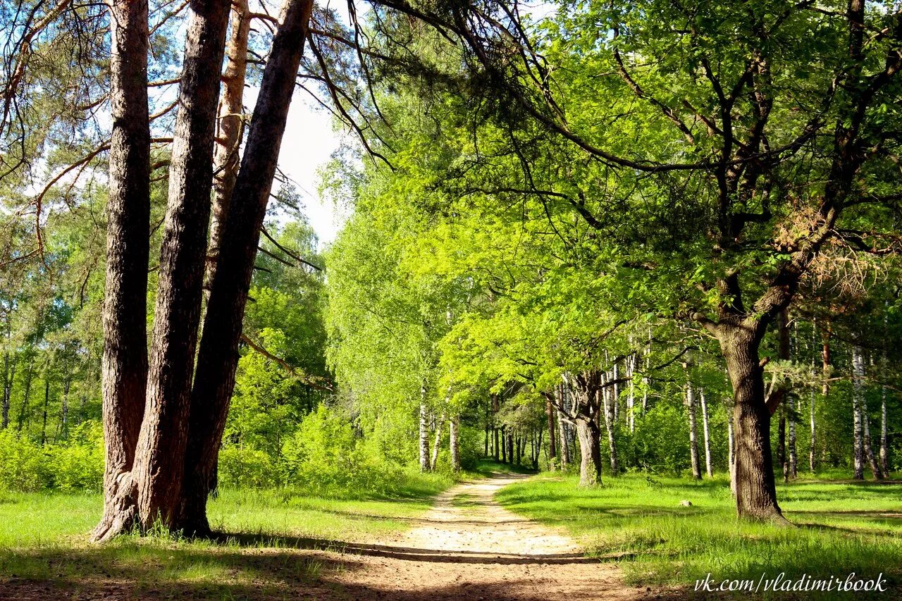 вербовский муром 6. муром пос вербовский. баня на вербовском муром. муром лес вербовский. дк вербовский муром.