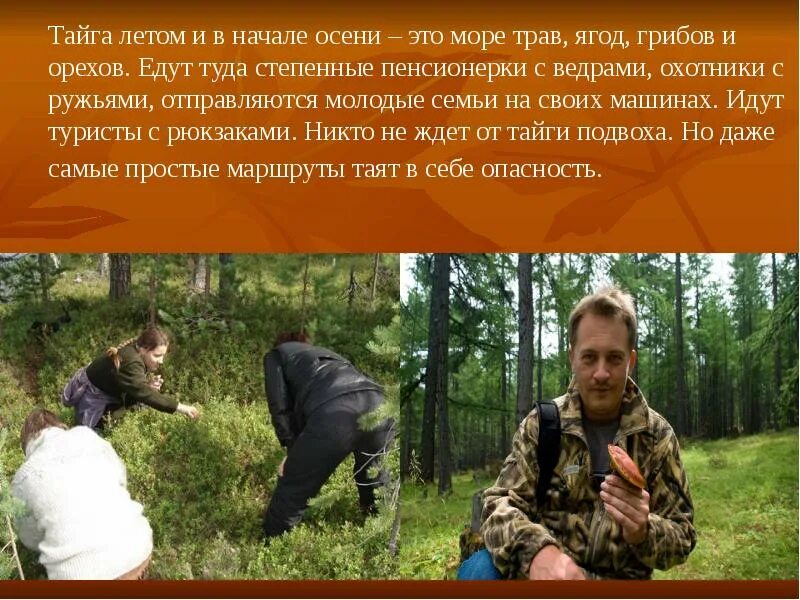 Как выбраться из тайги