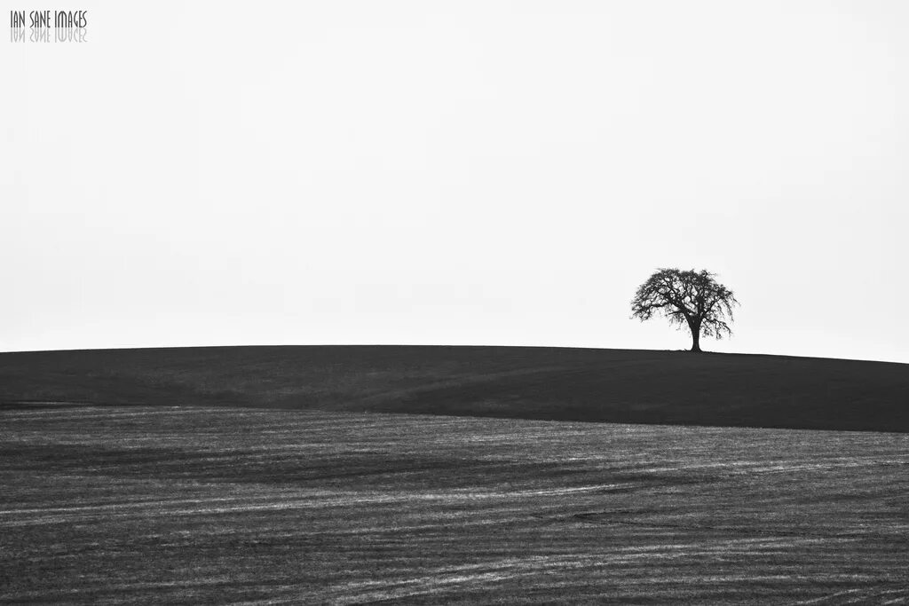 Horizon белой. Horizon белой. Horizon white mat color. Wdm пленка пвх mch 77547. горы на горизонте.