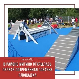 Открытое митино