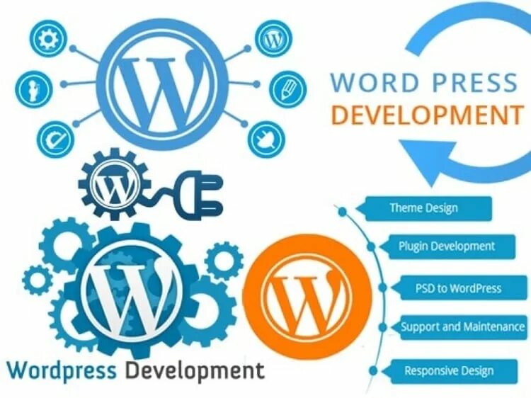 Wordpress services. Вордпресс. wordpress development. wordpress development services. wordpress website.