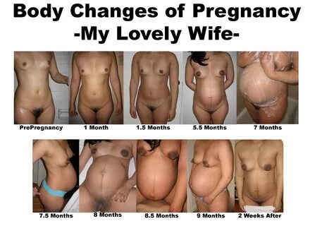 Slideshow nude pregnancy progression.