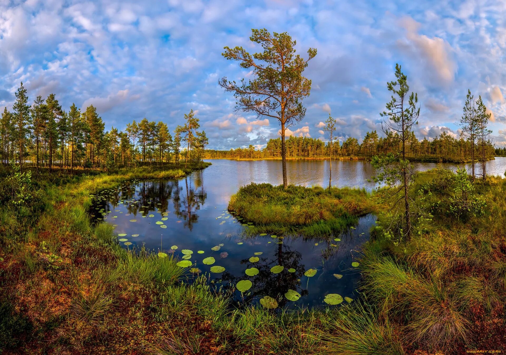 Фёдор Лашков фотограф река.