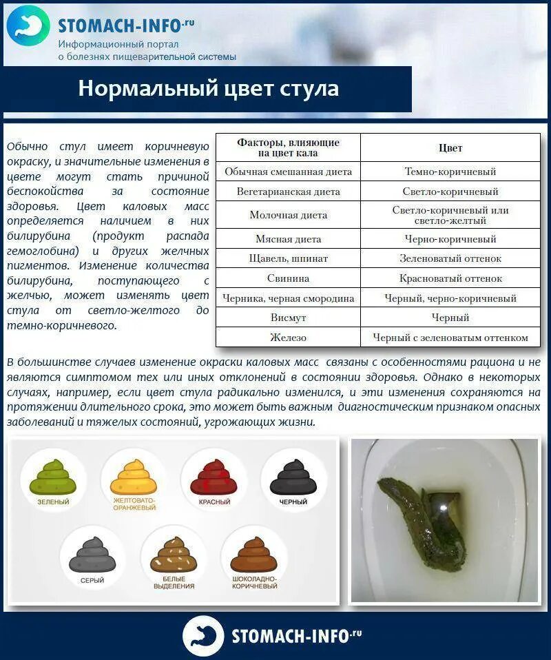 Цвет кала при приеме железа. Цвет кала. цвет кала у взрослого. цвет кала в норме.