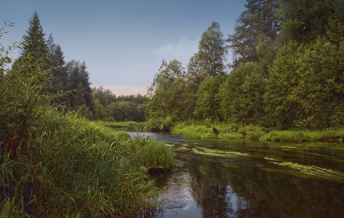 Река урал в разные времена года. Река в разные времена года. Береза летом и осенью. Как москва река изменяется в разные времена года. Один пейзаж в разные времена года.