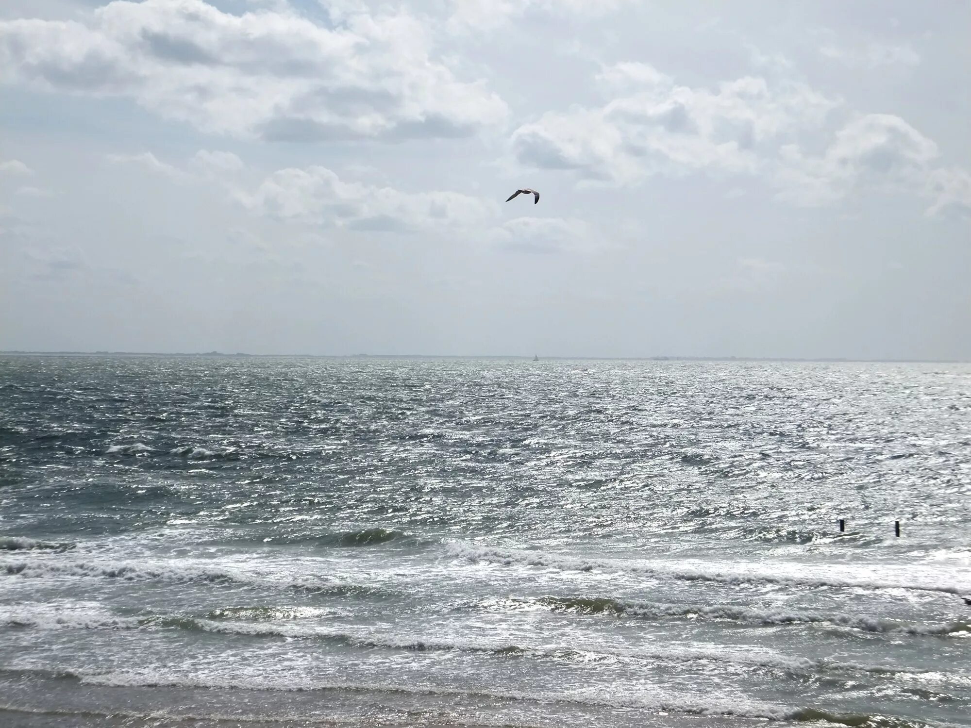 Ветер на море. Северное море пляж. Северное море фото. Ветер на северных морях. Холодный ветер на море 4