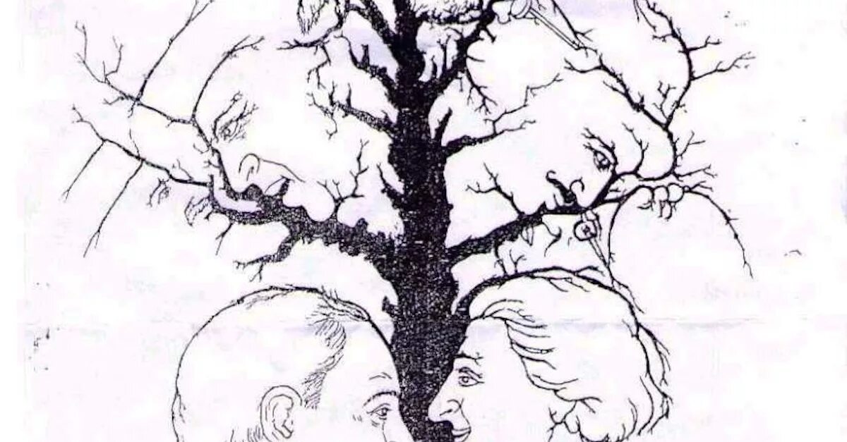Сколько лиц вы видите. Оптические иллюзии дерево. Иллюзии восприятия дерево. Обман зрения деревья. Гештальт рисунки.