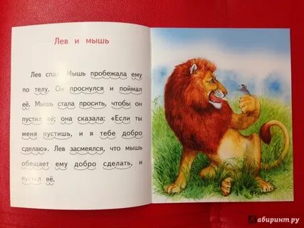 Стихи льва