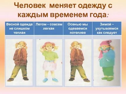Одежда по сезонам картинки