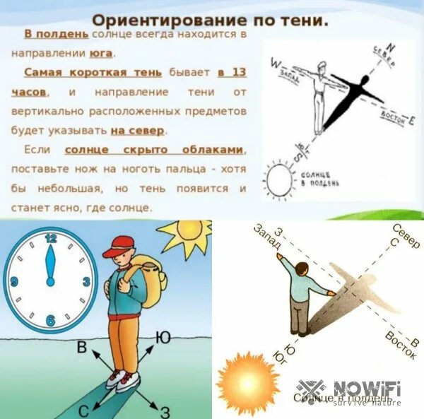 Как определить без часов. Ориентирование без компаса по солнцу. Компас ориентирование по солнцу. Как по компасу определить стороны света на местности. Ориентирование на местности стороны горизонта.