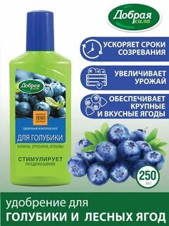 Подкормка голубики в октябре
