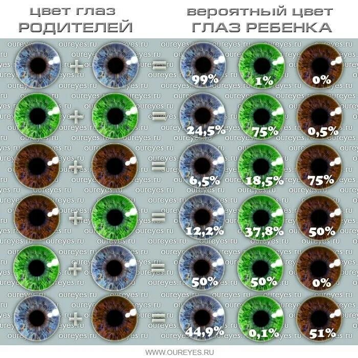 Карий глаза могут быть у ребенка если у родителей карие глаза. Цвета глаз с названиями. Оттенки цвета глаз. Цвет глаз родителей. Какого цвета глазки