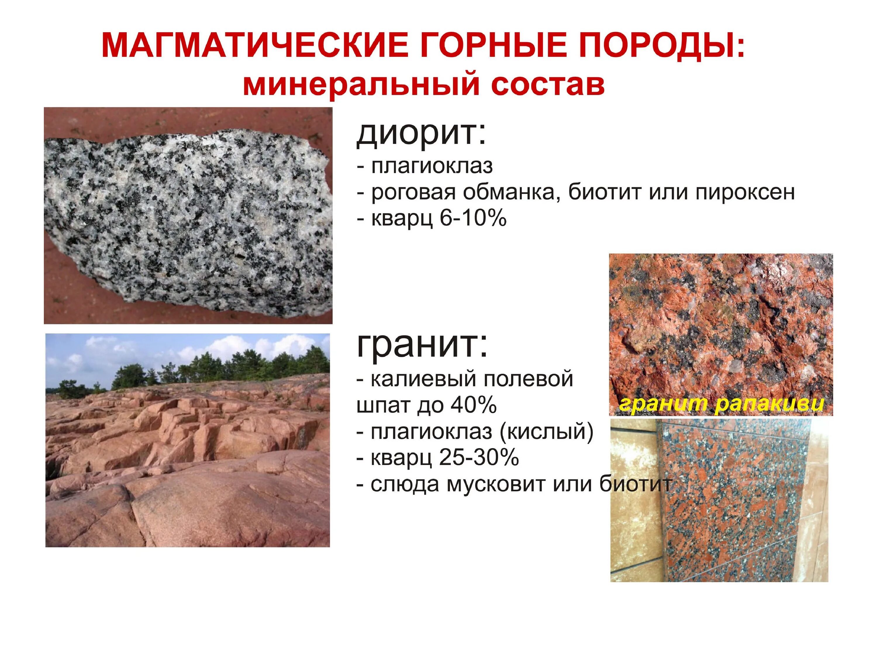 Горные породы и полезные ископаемые. Горные породы и минералы. Образцы горных пород. Какая горная порода самая молодая. Магматические глубинные горные породы.