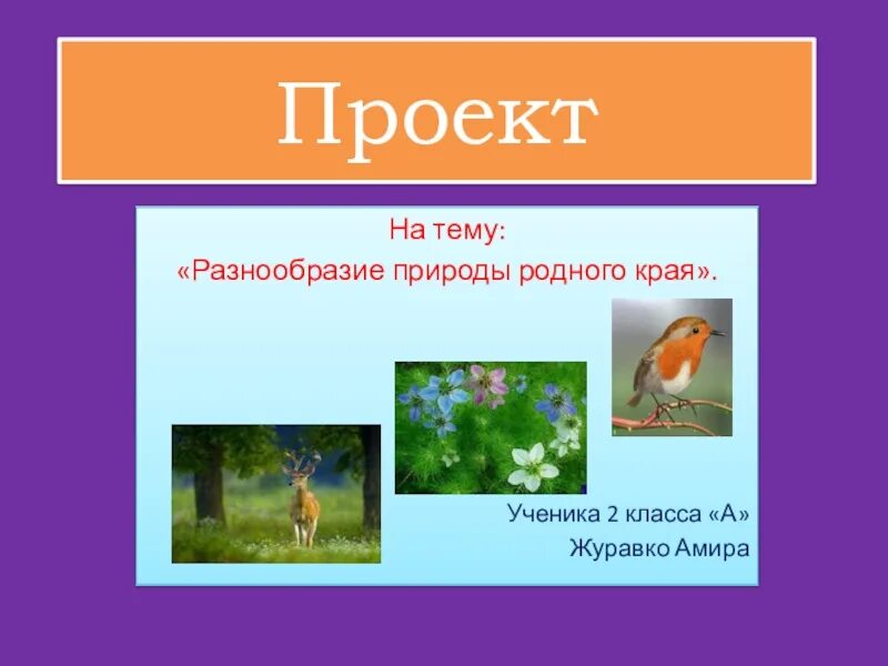 Проект для 2 класса на любую