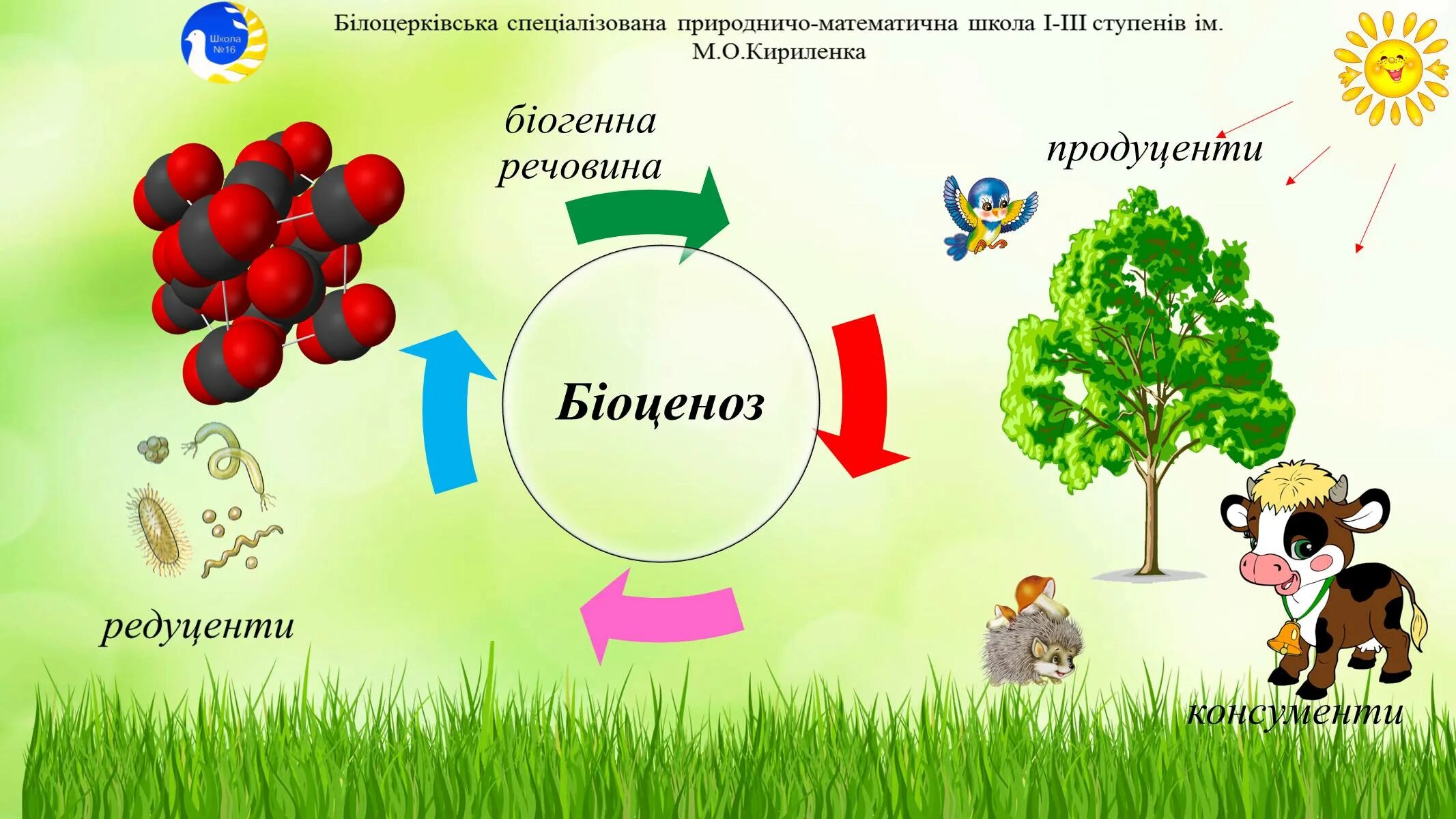 Продуценты какой фактор. Продуценты рисунок. Зеленые растения продуценты. Продуценты консументы и редуценты это. Продуценты ppt.