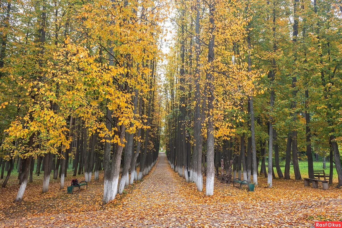детский парк лысьва. парк пушкина лысьва. парк пушкина лысьва. памятники города лысьва. г лысьва парк имени пушкина.