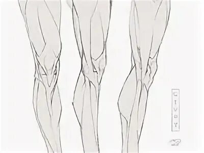 Leg reference. Leg reference