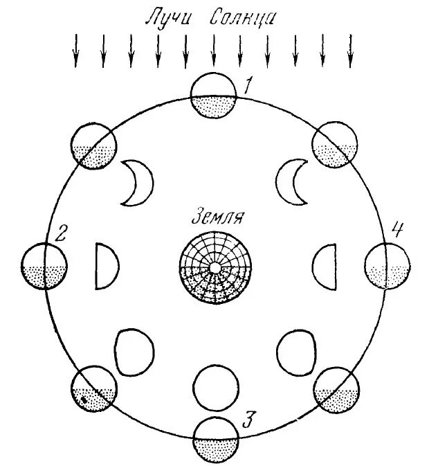 Схема полнолуния. Стадии Луны схема. Фазы Луны схема фаз. Положения Луны относительно земли и солнца для различных фаз. Схема расположения Луны относительно земли и солнца.