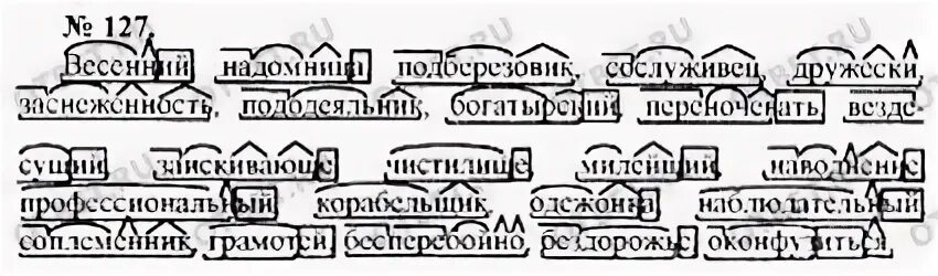 Подберезовик морфемы