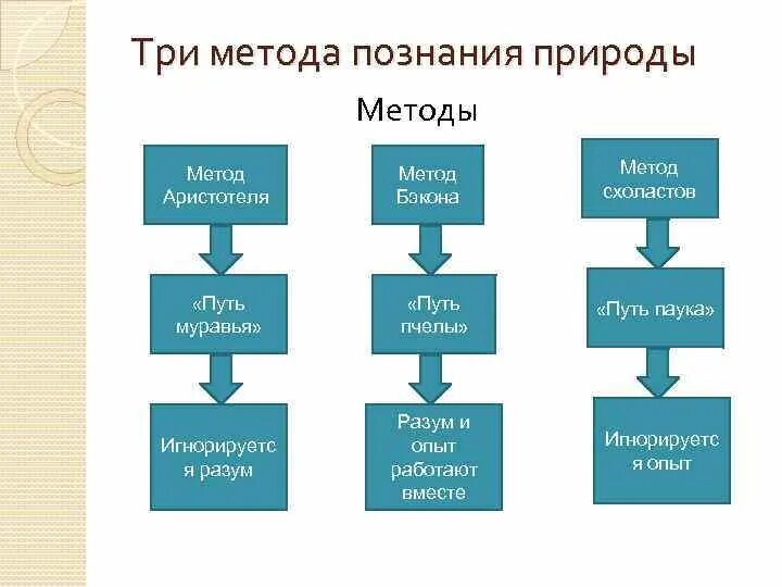 Методы познания нового времени философия. Пути познания Бэкона. Аристотель методы познания. Три пути познания Бэкона. Три метода познания природы.