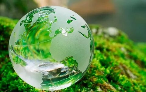 Biological environment