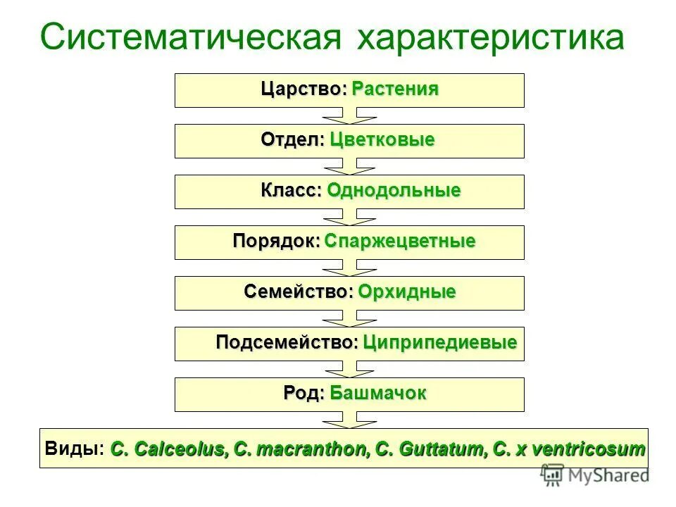 Также систематических