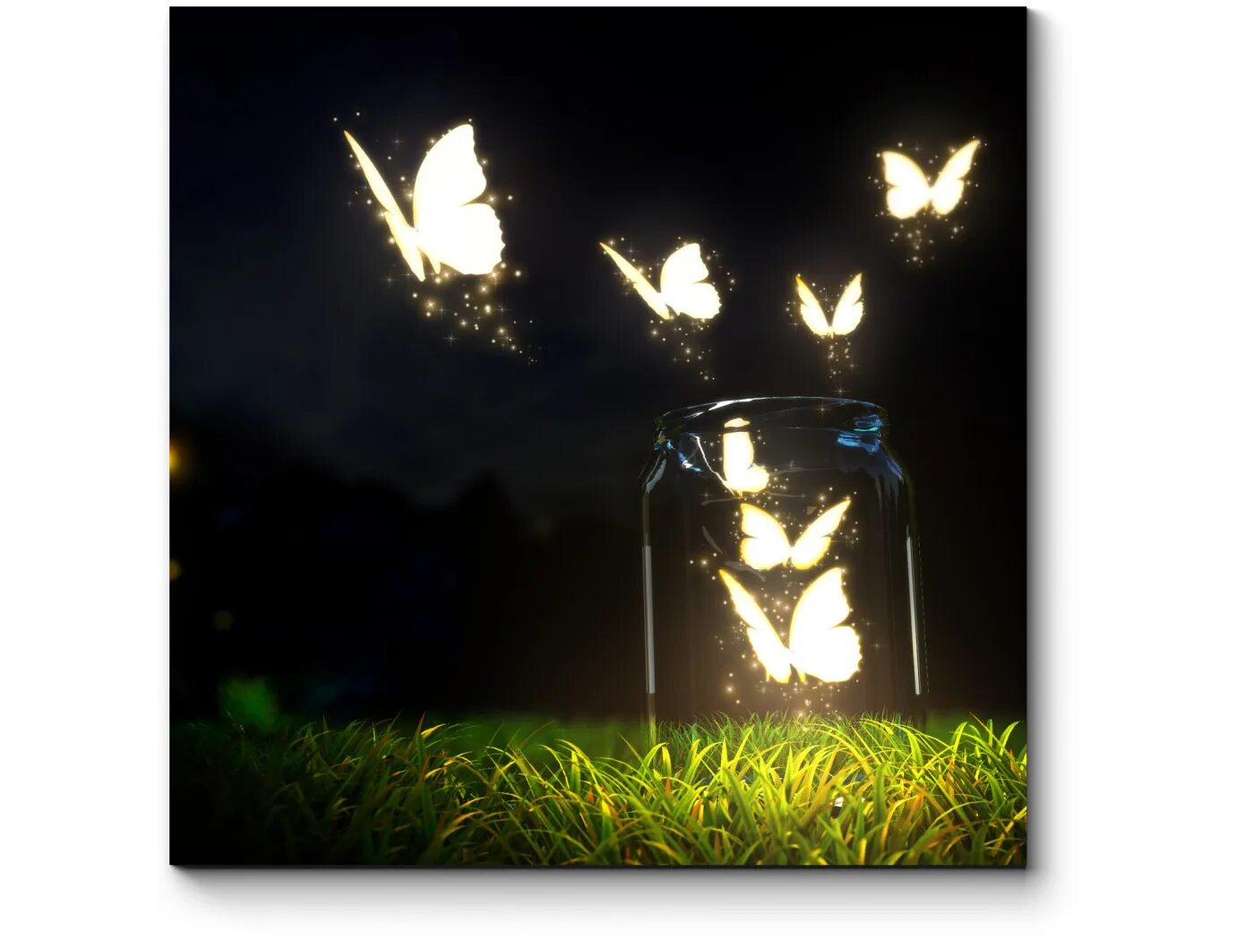 Изображать светиться. Светящиеся бабочки. Бабочка светится в темноте. Фонарь в темноте. Свет в темноте.