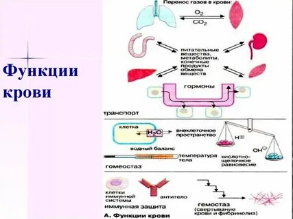 Специфический перенос