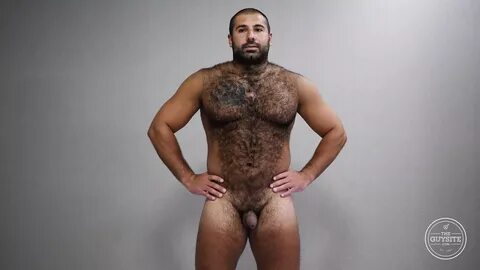 /hairy+bears+%E2%99%A5+official+page