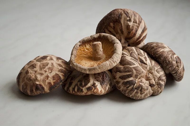 Японские грибы шиитаке. Шиитаке Shiitake (Lentinula edodes). Императорский гриб шиитаке. Опята шиитаке.