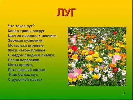 Песня наш ковер цветочная