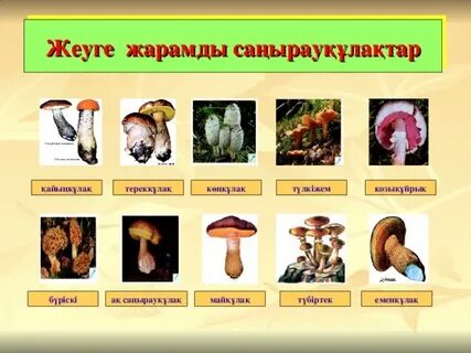 Жалаңаш аналар сексуалды письки және есек фотосуреттерімен