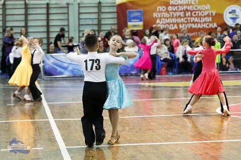 Секции мурманск