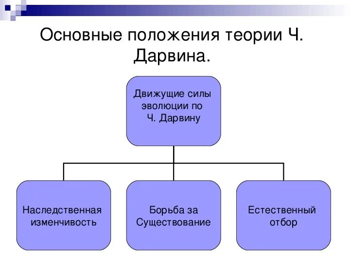 Движущие факторы эволюции по ч Дарвину. Движущие силы эволюции по теории Дарвина. Основные силы эволюции по Дарвину. Эволюционное учение Дарвина факторы эволюции.