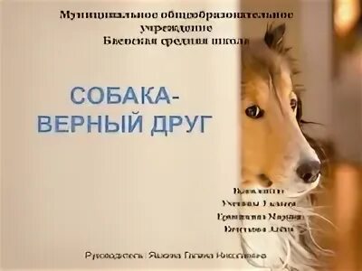 Собака верный друг человека почему ставится. Презентация на тему собака верный друг. Собака верный друг человека проект. Собака лучший друг человека презентация. Проект по окружающему миру 2 класс собака- верный друг.