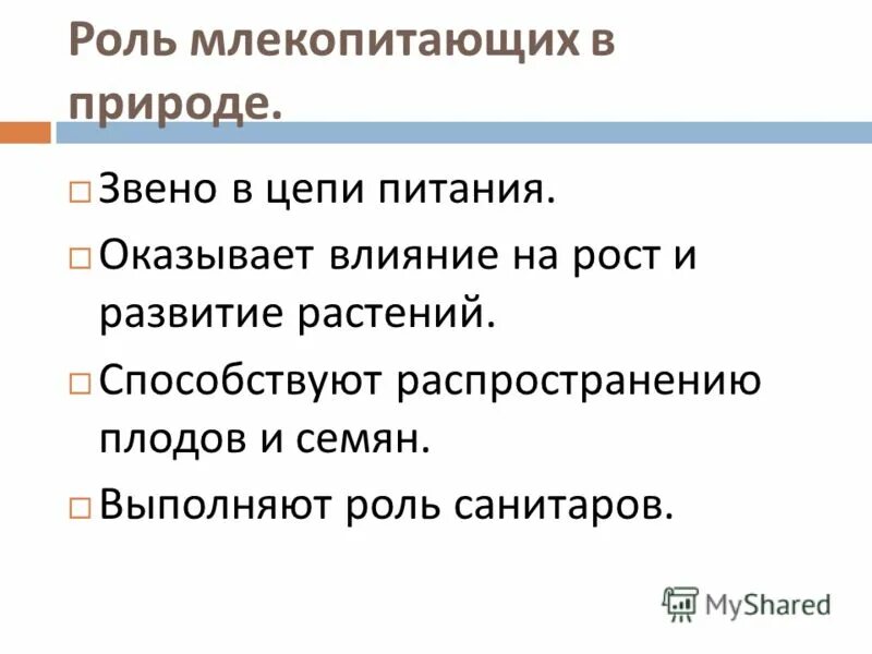 Значение млекопитающих кратко